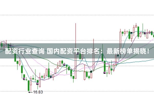 配资行业查询 国内配资平台排名:最新榜单揭晓!