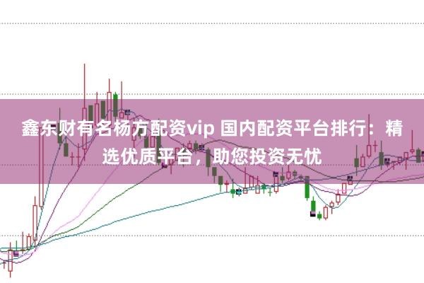 鑫东财有名杨方配资vip 国内配资平台排行:精选优质平台,助您投资无忧