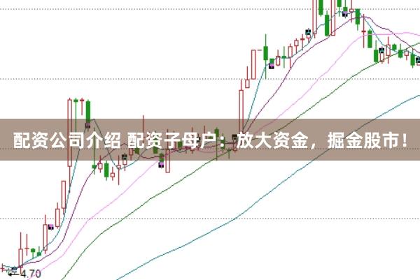 配资公司介绍 配资子母户:放大资金,掘金股市!