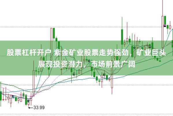 股票杠杆开户 紫金矿业股票走势强劲，矿业巨头展现投资潜力，市场前景广阔