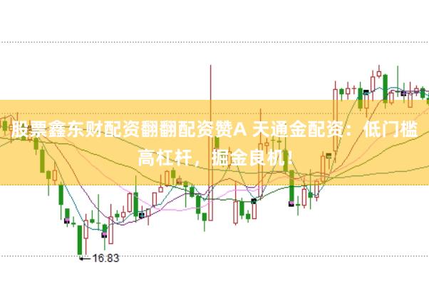 股票鑫东财配资翻翻配资赞A 天通金配资:低门槛高杠杆,掘金良机!