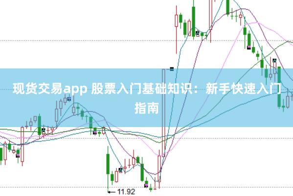 现货交易app 股票入门基础知识：新手快速入门指南
