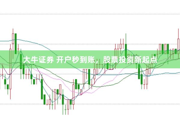 大牛证券 开户秒到账,股票投资新起点