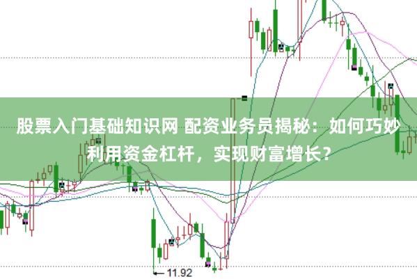 股票入门基础知识网 配资业务员揭秘:如何巧妙利用资金杠杆,实现财富增长?