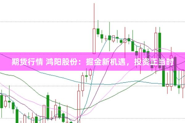 期货行情 鸿阳股份:掘金新机遇,投资正当时